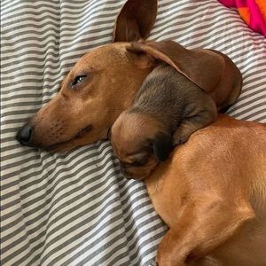 Meet your Posher, Vicky